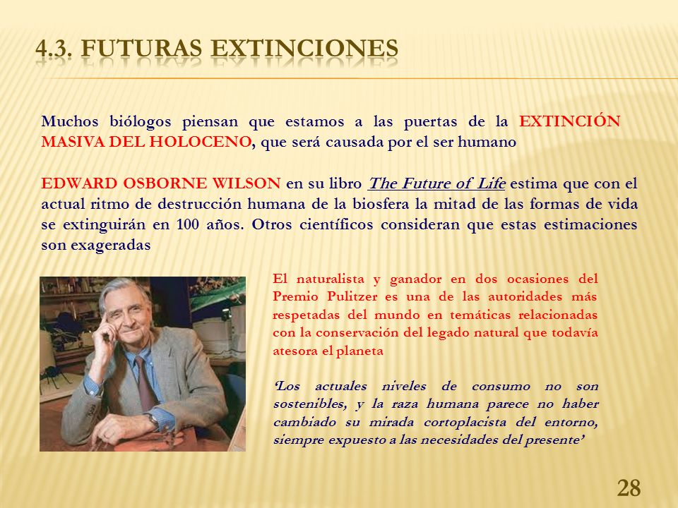 4.3. FUTURAS EXTINCIONES Muchos biólogos piensan que estamos a las puertas de la EXTINCIÓN MASIVA DEL HOLOCENO, que será causada por el ser humano.
