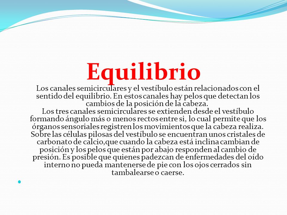 Equilibrio Los canales semicirculares y el vestíbulo están relacionados con el sentido del equilibrio. En estos canales hay pelos que detectan los cambios de la posición de la cabeza. Los tres canales semicirculares se extienden desde el vestíbulo formando ángulo más o menos rectos entre si, lo cual permite que los órganos sensoriales registren los movimientos que la cabeza realiza. Sobre las células pilosas del vestíbulo se encuentran unos cristales de carbonato de calcio,que cuando la cabeza está inclina cambian de posición y los pelos que están por abajo responden al cambio de presión. Es posible que quienes padezcan de enfermedades del oído interno no pueda mantenerse de pie con los ojos cerrados sin tambalearse o caerse.