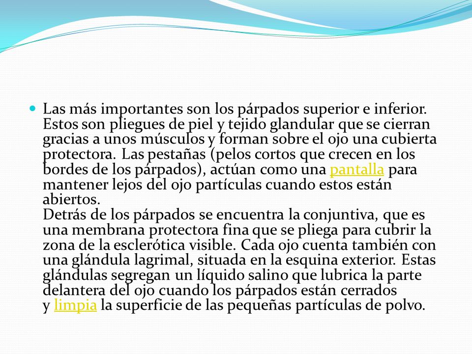 Las más importantes son los párpados superior e inferior