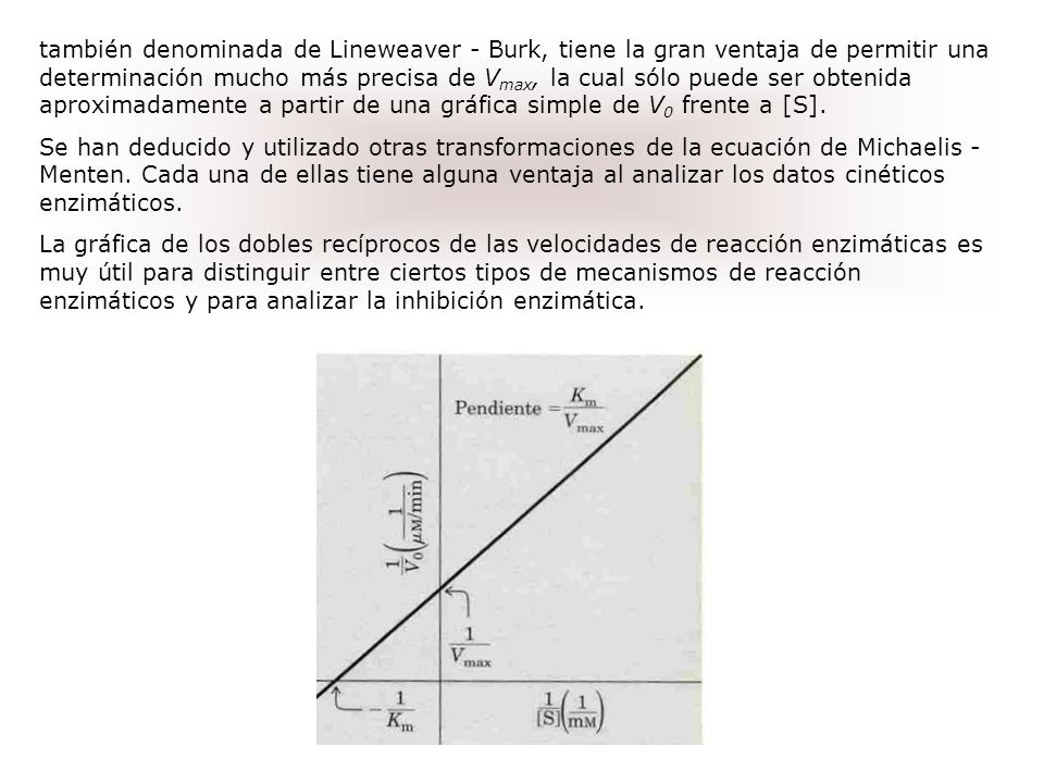 también denominada de Lineweaver - Burk, tiene la gran ventaja de permitir una determinación mucho más precisa de Vmax, la cual sólo puede ser obtenida aproximadamente a partir de una gráfica simple de V0 frente a [S].
