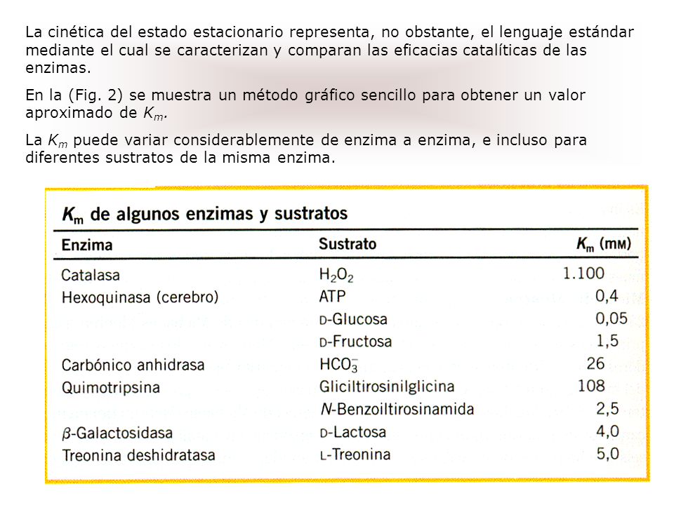 La cinética del estado estacionario representa, no obstante, el lenguaje estándar mediante el cual se caracterizan y comparan las eficacias catalíticas de las enzimas.