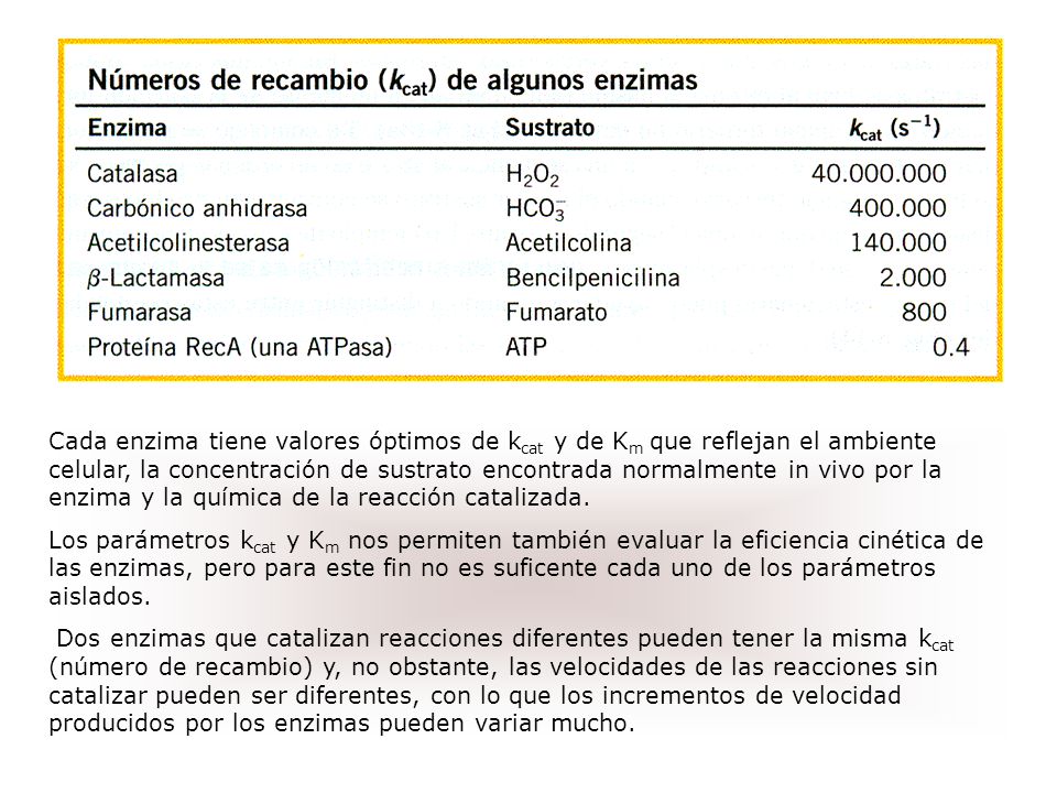 Cada enzima tiene valores óptimos de kcat y de Km que reflejan el ambiente celular, la concentración de sustrato encontrada normalmente in vivo por la enzima y la química de la reacción catalizada.