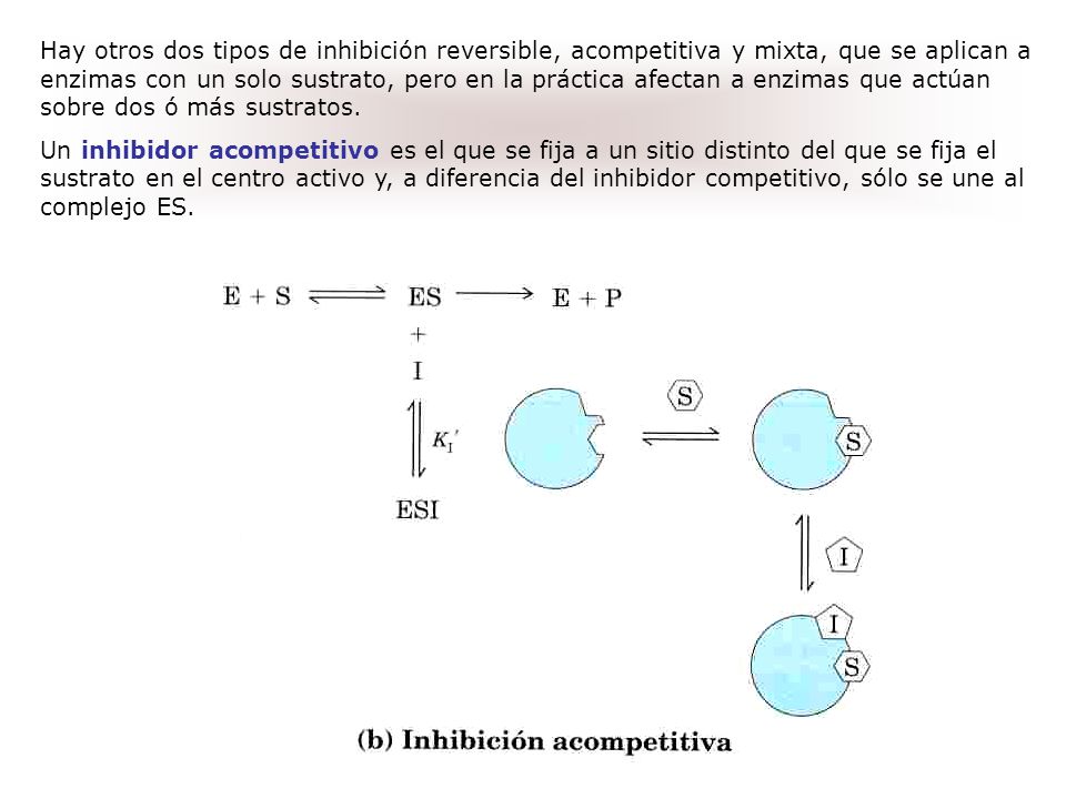 Hay otros dos tipos de inhibición reversible, acompetitiva y mixta, que se aplican a enzimas con un solo sustrato, pero en la práctica afectan a enzimas que actúan sobre dos ó más sustratos.