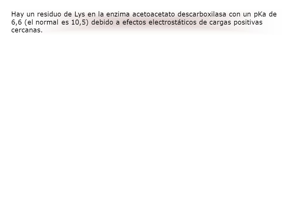 Hay un residuo de Lys en la enzima acetoacetato descarboxilasa con un pKa de 6,6 (el normal es 10,5) debido a efectos electrostáticos de cargas positivas cercanas.