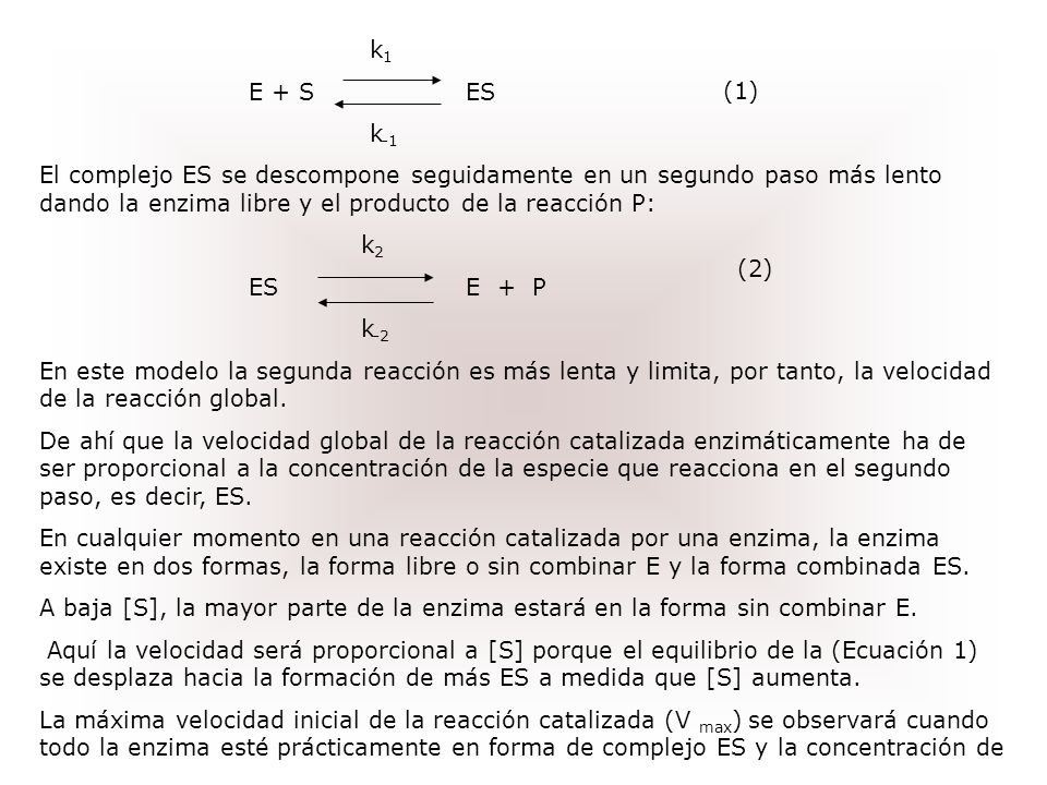 k1 E + S ES. k-1. El complejo ES se descompone seguidamente en un segundo paso más lento dando la enzima libre y el producto de la reacción P: