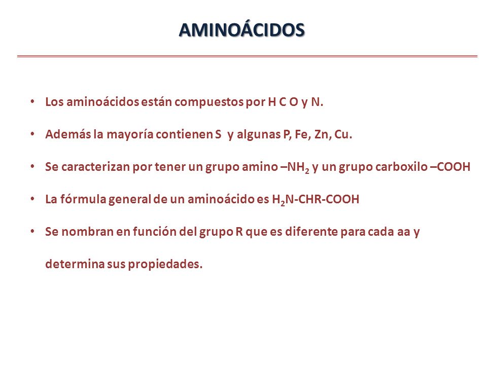 AMINOÁCIDOS Los aminoácidos están compuestos por H C O y N.