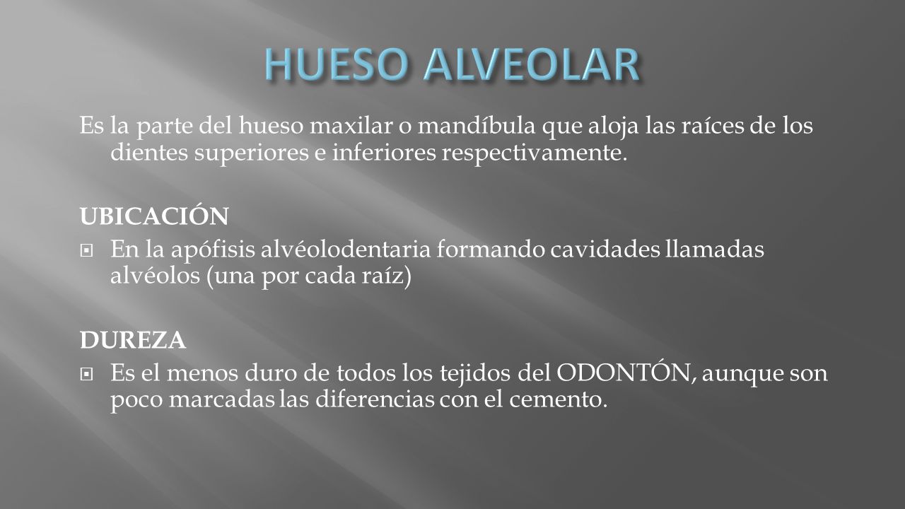 HUESO ALVEOLAR Es la parte del hueso maxilar o mandíbula que aloja las raíces de los dientes superiores e inferiores respectivamente.