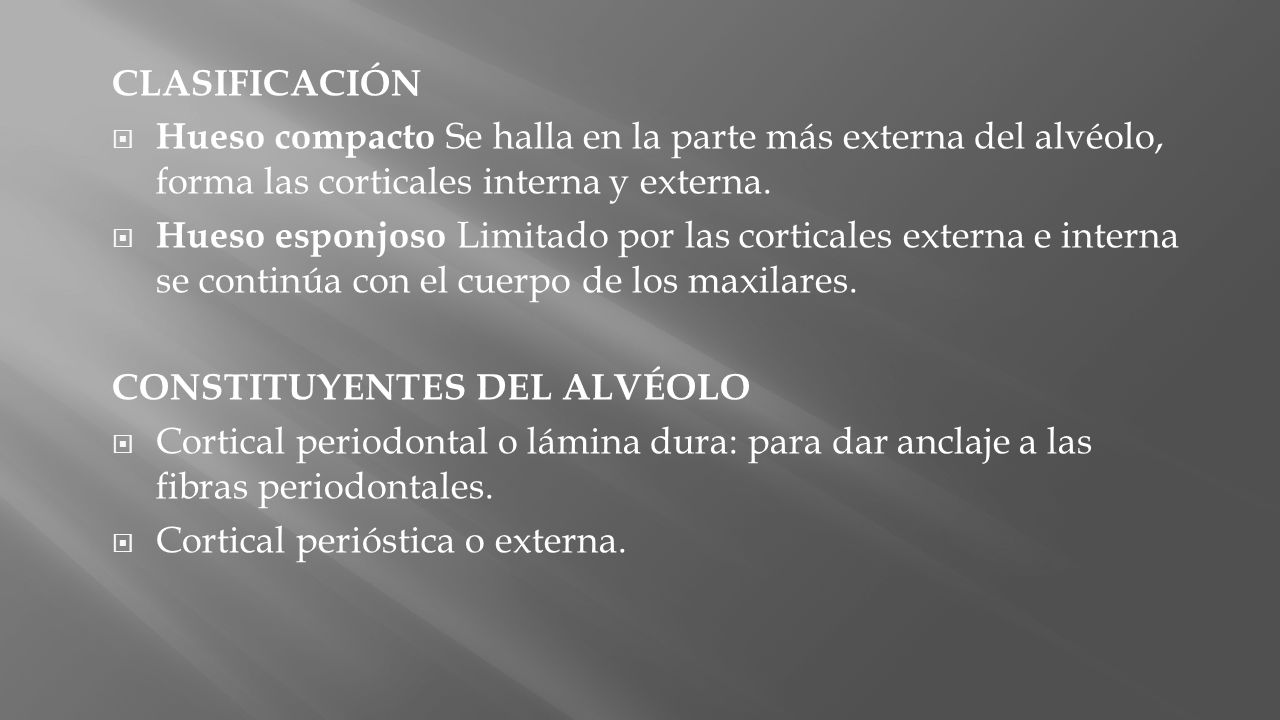 CLASIFICACIÓN Hueso compacto Se halla en la parte más externa del alvéolo, forma las corticales interna y externa.