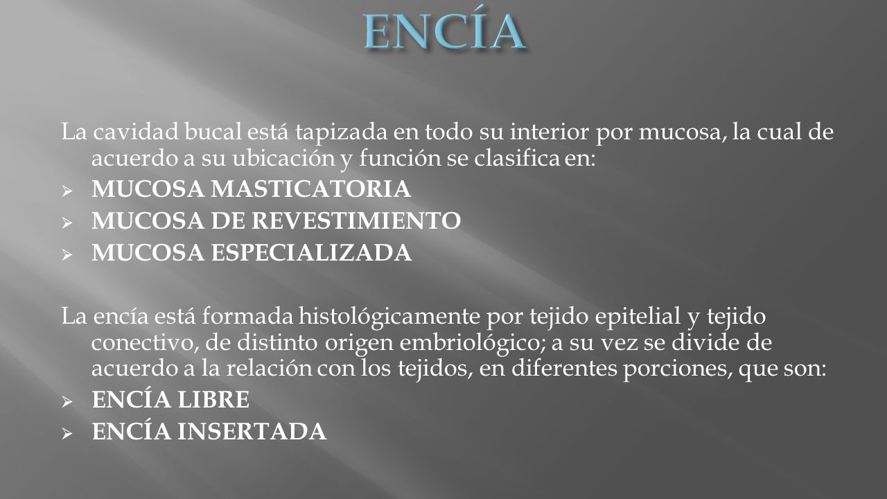 ENCÍA La cavidad bucal está tapizada en todo su interior por mucosa, la cual de acuerdo a su ubicación y función se clasifica en: