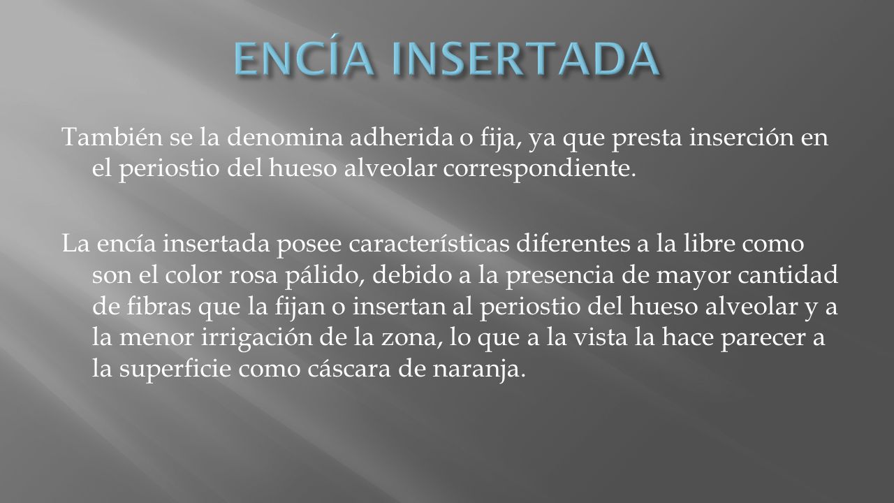 ENCÍA INSERTADA También se la denomina adherida o fija, ya que presta inserción en el periostio del hueso alveolar correspondiente.