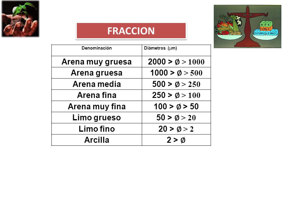FRACCION Arena muy gruesa 2000 > ∅ > 1000 Arena gruesa