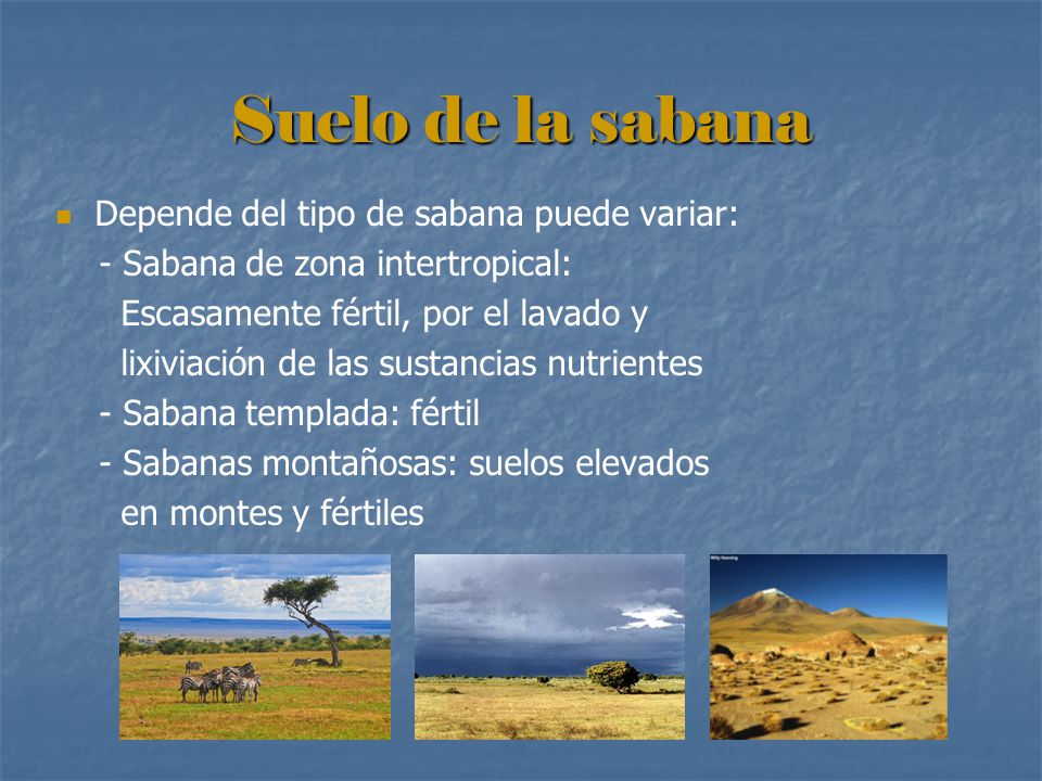 Suelo de la sabana Depende del tipo de sabana puede variar: