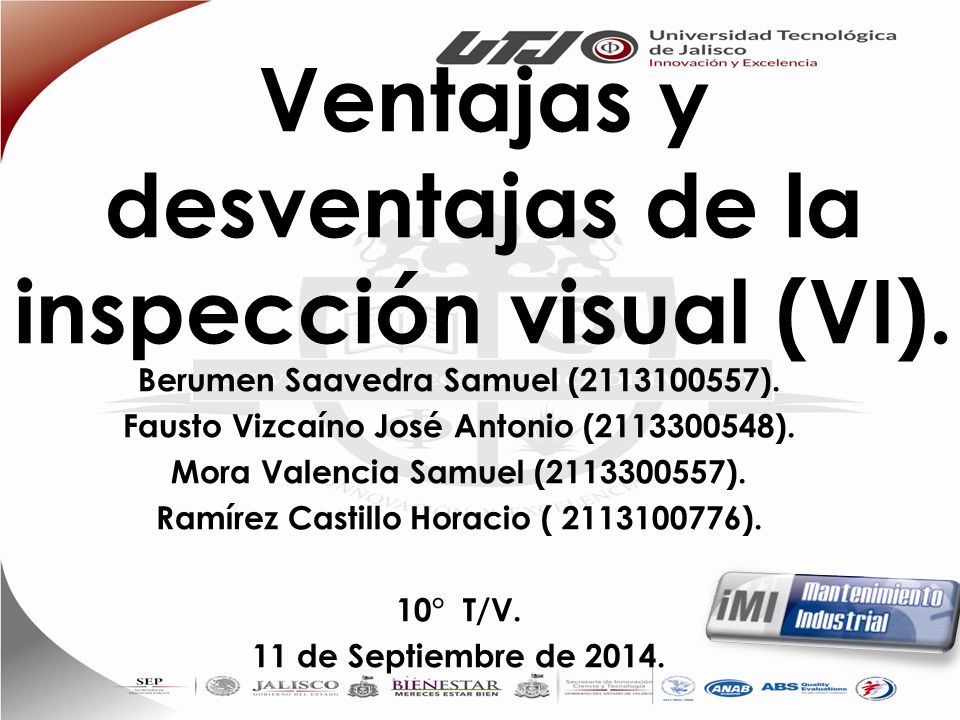 Ventajas y desventajas de la inspección visual (VI).