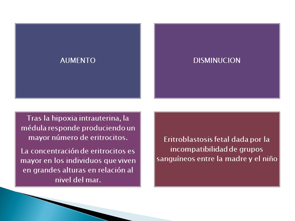 AUMENTO DISMINUCION. Tras la hipoxia intrauterina, la médula responde produciendo un mayor número de eritrocitos.