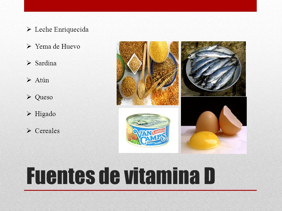 Fuentes de vitamina D Leche Enriquecida Yema de Huevo Sardina Atún