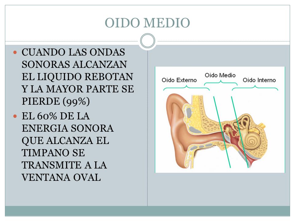 OIDO MEDIO CUANDO LAS ONDAS SONORAS ALCANZAN EL LIQUIDO REBOTAN Y LA MAYOR PARTE SE PIERDE (99%)
