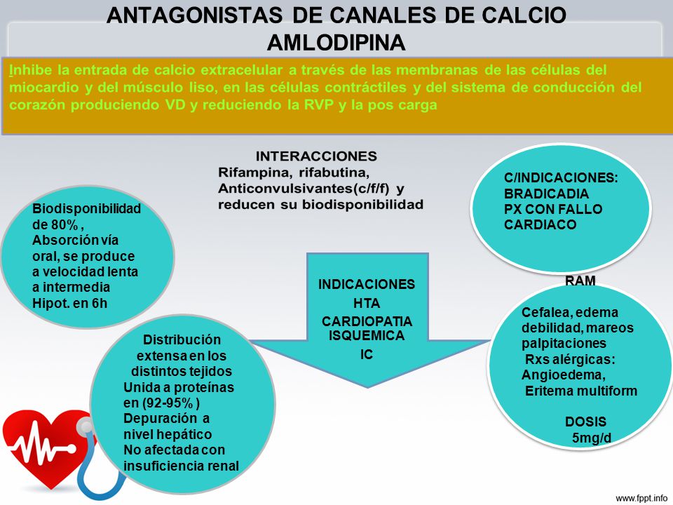 ANTAGONISTAS DE CANALES DE CALCIO AMLODIPINA