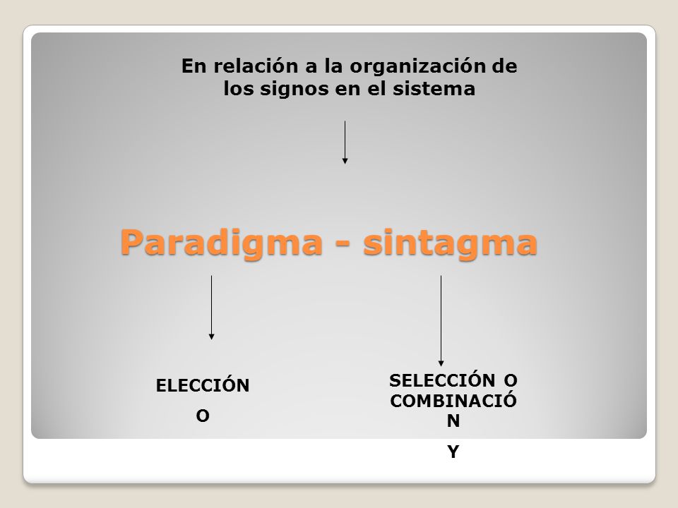 En relación a la organización de los signos en el sistema