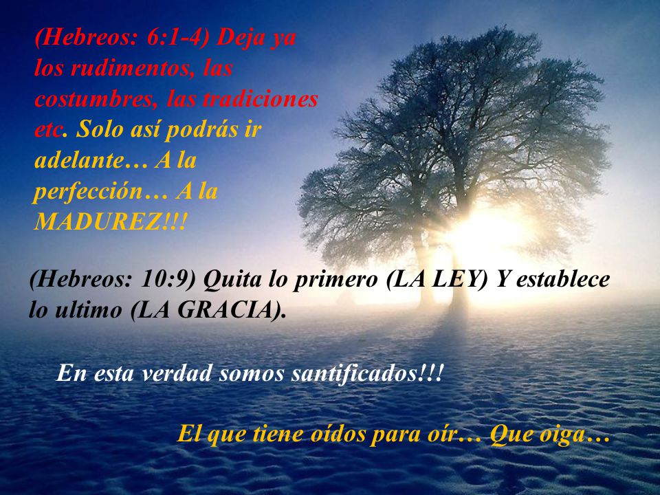 (Hebreos: 6:1-4) Deja ya los rudimentos, las costumbres, las tradiciones etc. Solo así podrás ir adelante… A la perfección… A la MADUREZ!!!