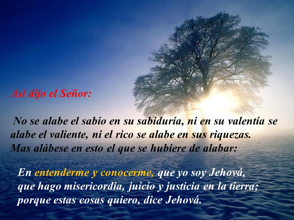 Así dijo el Señor: No se alabe el sabio en su sabiduría, ni en su valentía se alabe el valiente, ni el rico se alabe en sus riquezas.