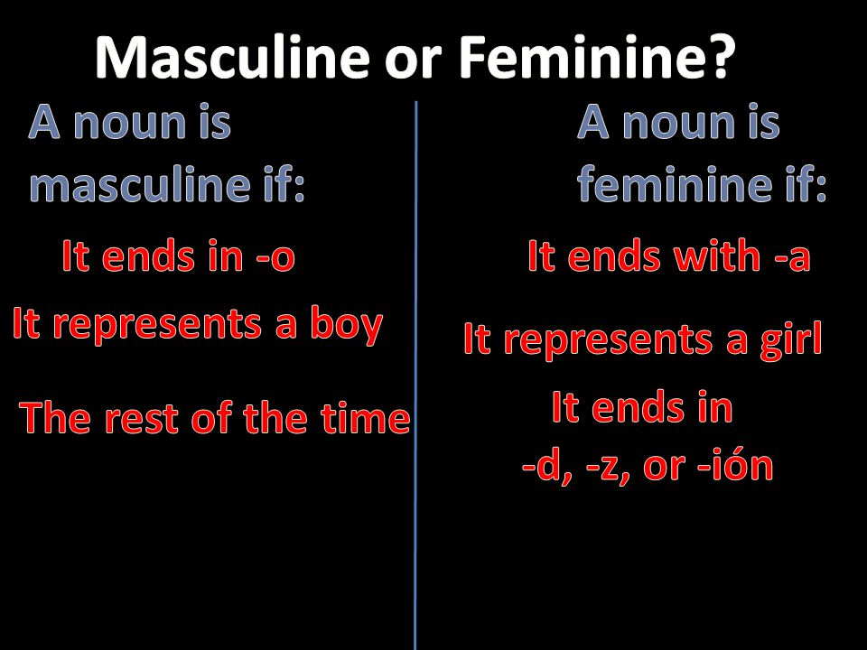 Masculine or Feminine A noun is masculine if: A noun is feminine if: