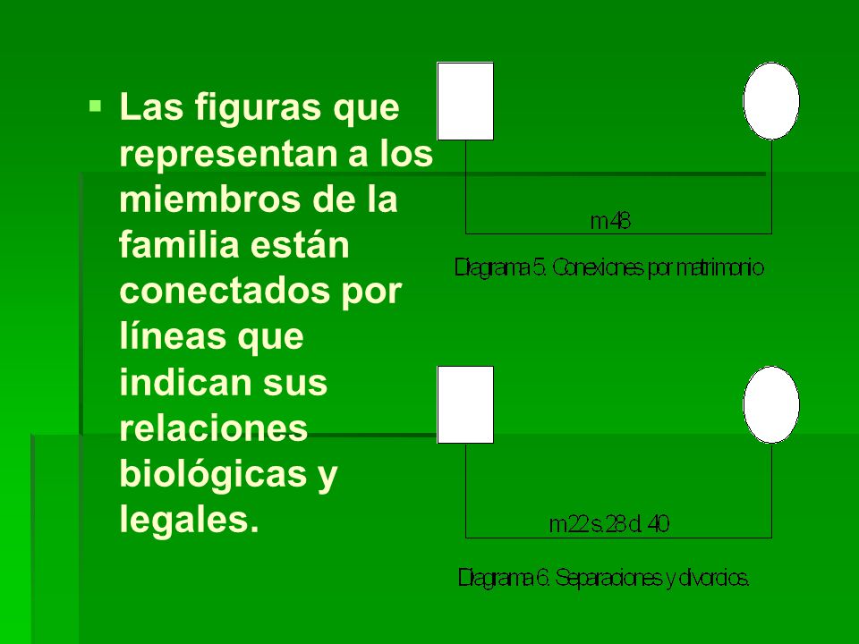 Las figuras que representan a los miembros de la familia están conectados por líneas que indican sus relaciones biológicas y legales.