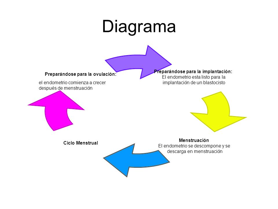 Diagramas. - ppt descargar