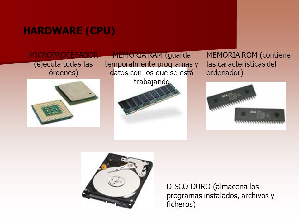 MICROPROCESADOR (ejecuta todas las órdenes)