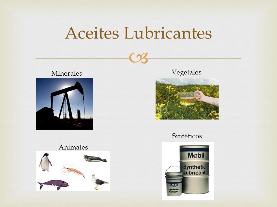 Aceites Lubricantes Minerales Vegetales Sintéticos Animales