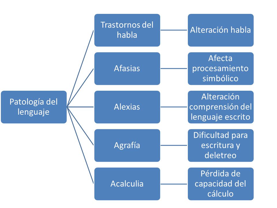 Patología del lenguaje Trastornos del habla Alteración habla Afasias