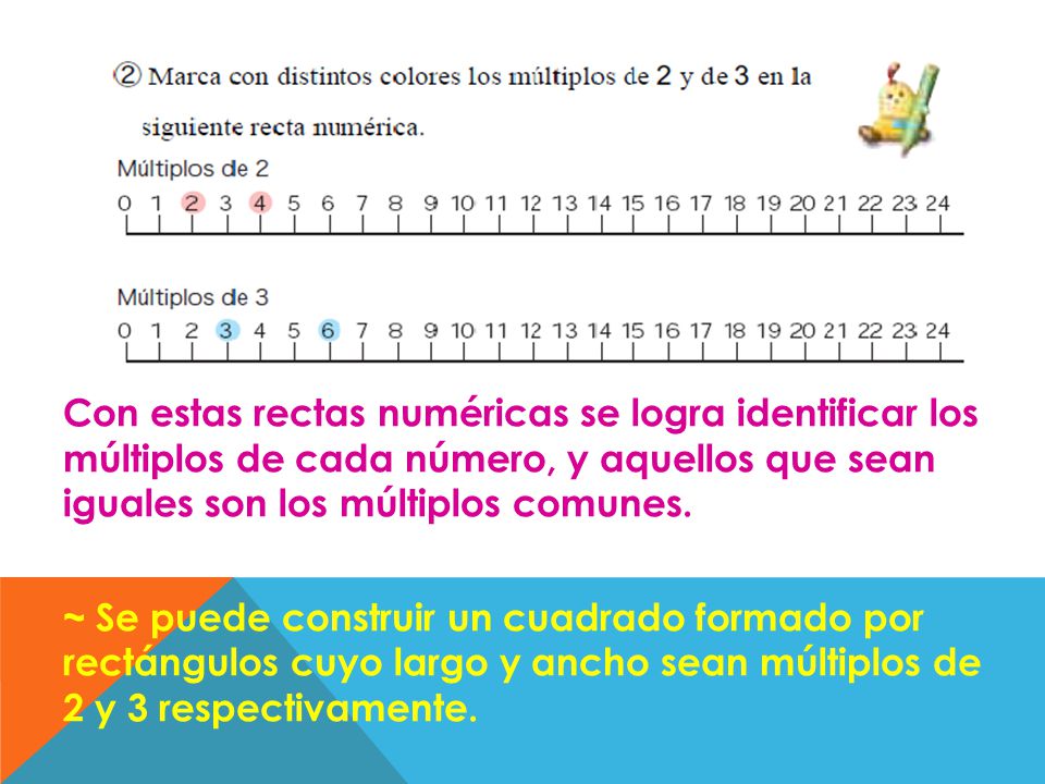Con estas rectas numéricas se logra identificar los múltiplos de cada número, y aquellos que sean iguales son los múltiplos comunes.