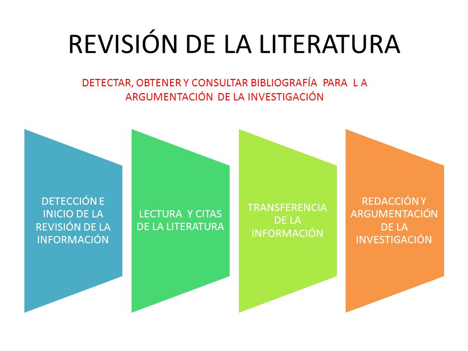 REVISIÓN DE LA LITERATURA
