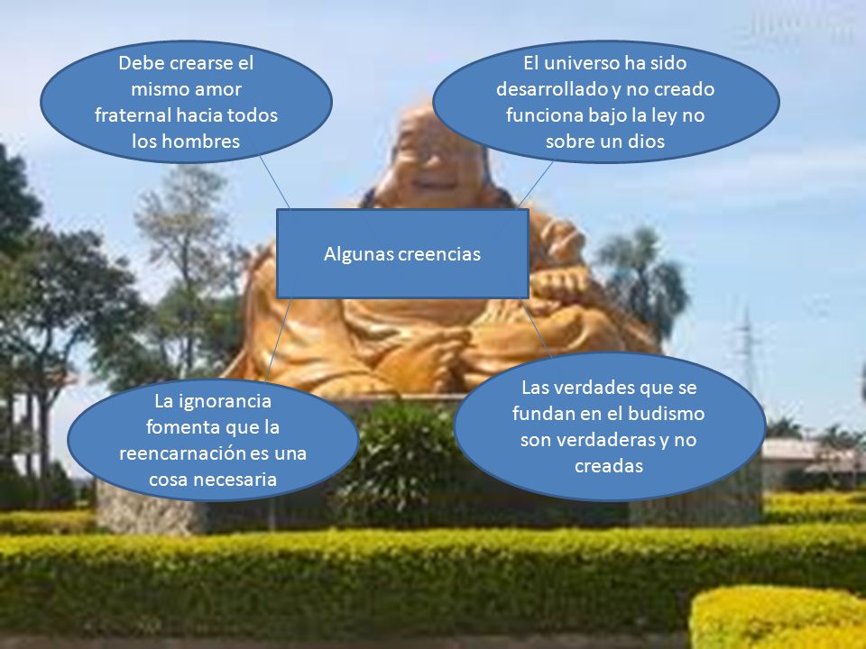 Debe crearse el mismo amor fraternal hacia todos los hombres