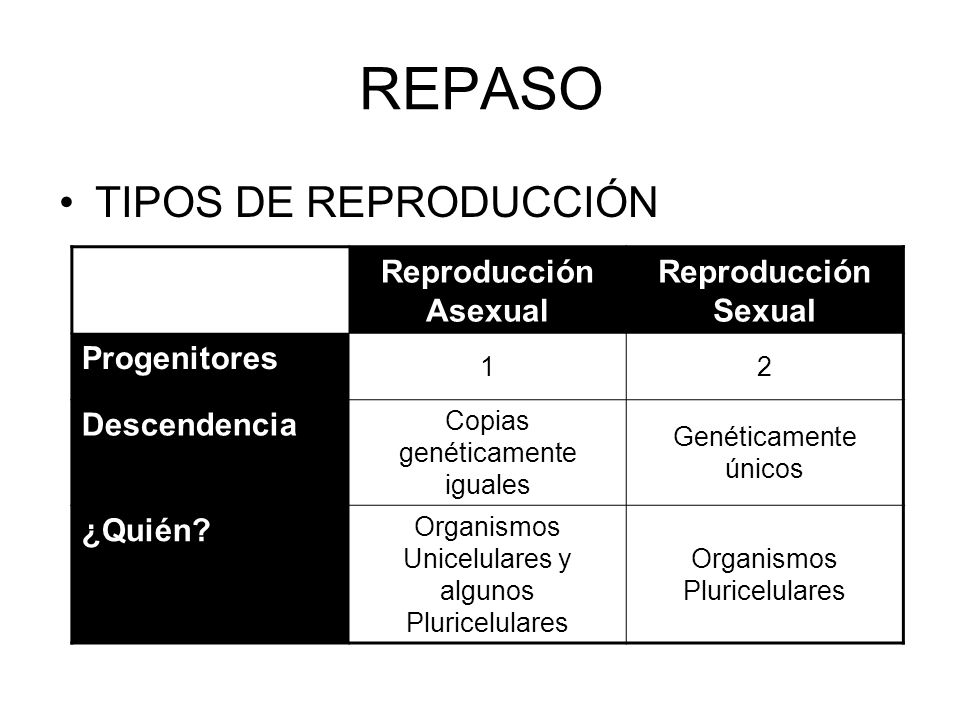 REPASO TIPOS DE REPRODUCCIÓN Reproducción Asexual Reproducción Sexual