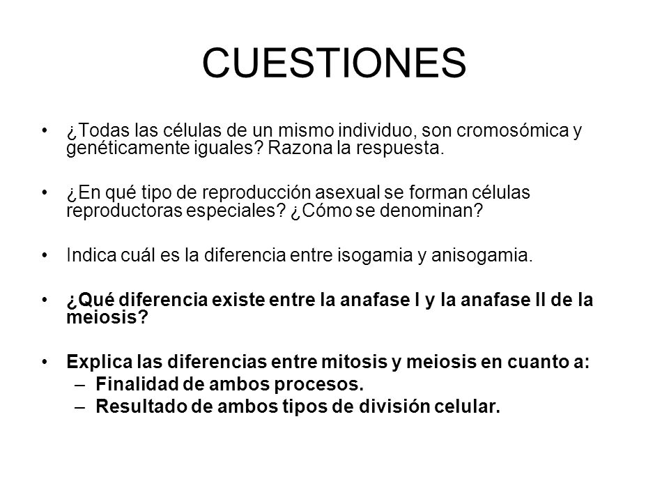 CUESTIONES ¿Todas las células de un mismo individuo, son cromosómica y genéticamente iguales Razona la respuesta.