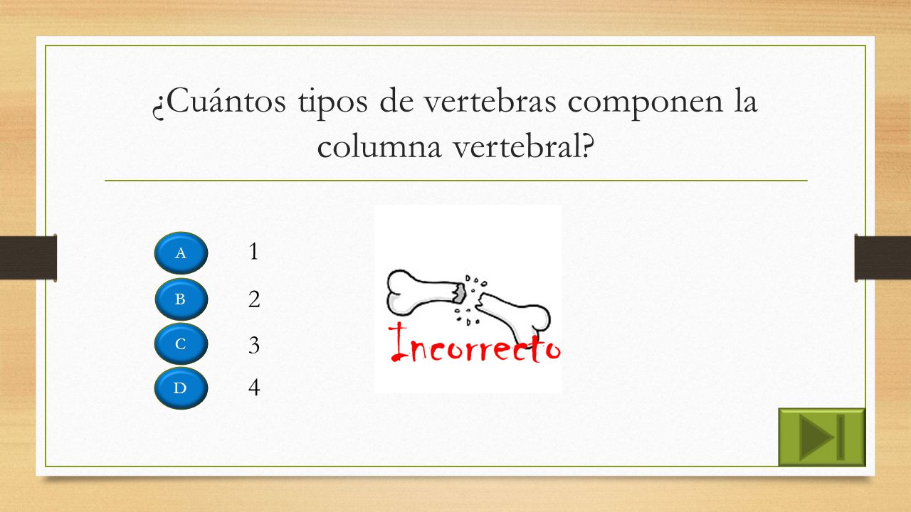 ¿Cuántos tipos de vertebras componen la columna vertebral