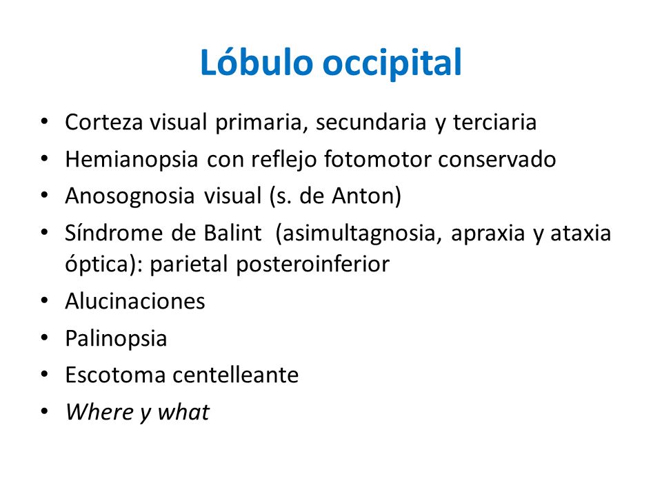 Lóbulo occipital Corteza visual primaria, secundaria y terciaria