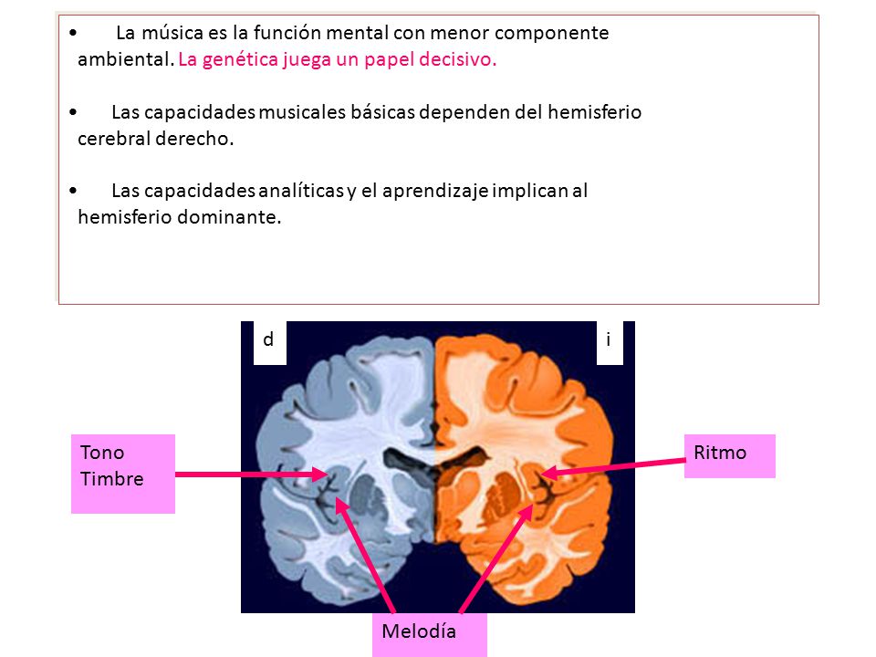 La música es la función mental con menor componente