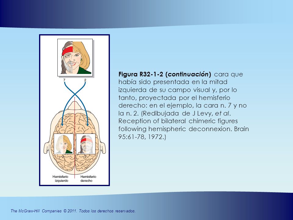 Figura R (continuación) cara que había sido presentada en la mitad izquierda de su campo visual y, por lo tanto, proyectada por el hemisferio derecho: en el ejemplo, la cara n.