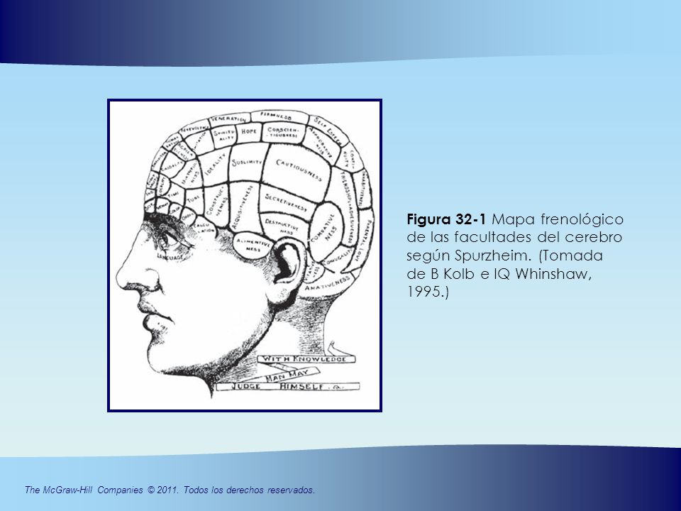 Figura 32-1 Mapa frenológico de las facultades del cerebro según Spurzheim.