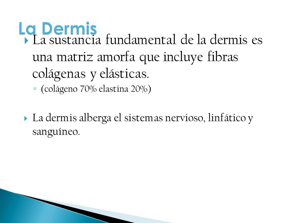 La Dermis La sustancia fundamental de la dermis es una matriz amorfa que incluye fibras colágenas y elásticas.