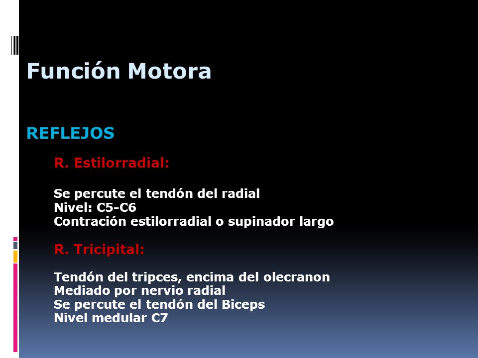 Función Motora REFLEJOS Se percute el tendón del radial Nivel: C5-C6