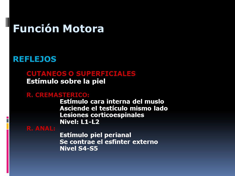 Función Motora REFLEJOS Estímulo sobre la piel R. CREMASTERICO: