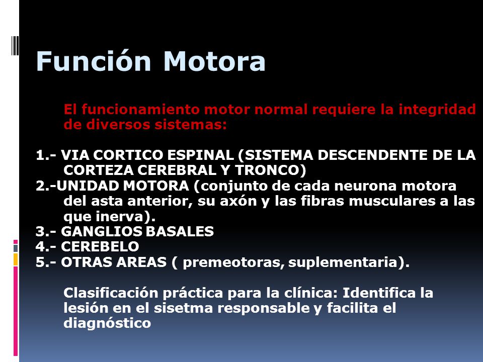Función Motora El funcionamiento motor normal requiere la integridad de diversos sistemas: