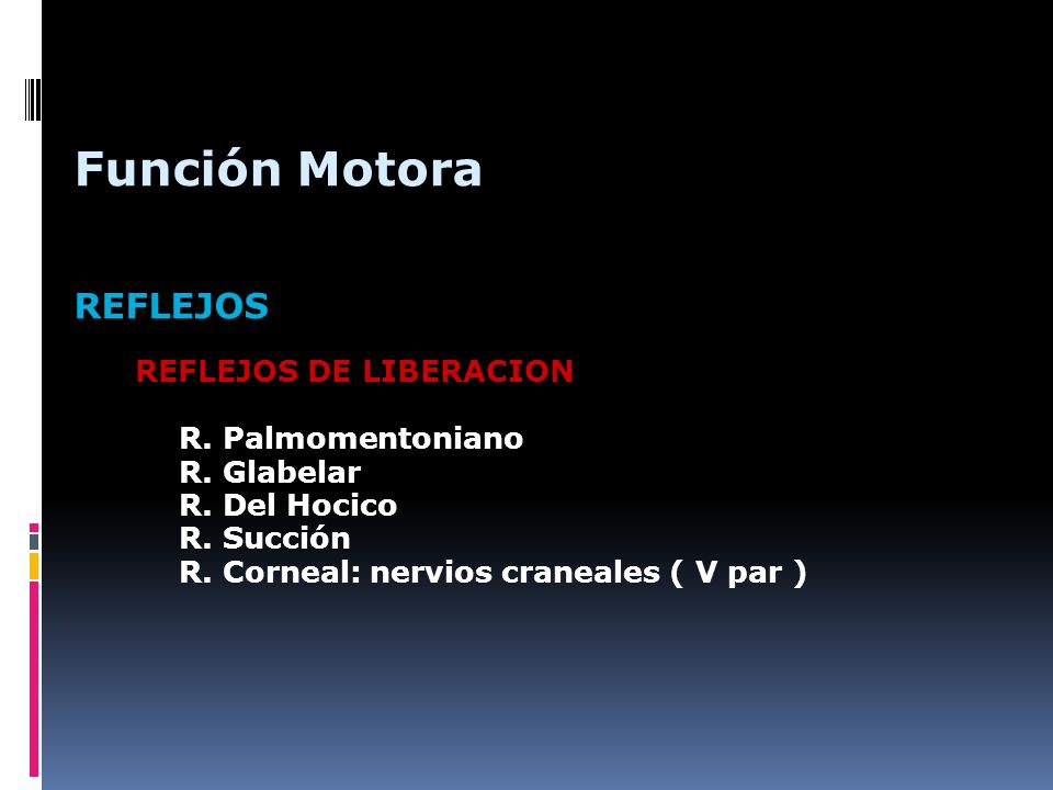 Función Motora REFLEJOS R. Palmomentoniano R. Glabelar R. Del Hocico