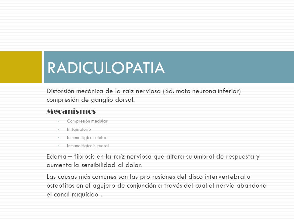 RADICULOPATIA Distorsión mecánica de la raíz nerviosa (Sd. moto neurona inferior) compresión de ganglio dorsal.