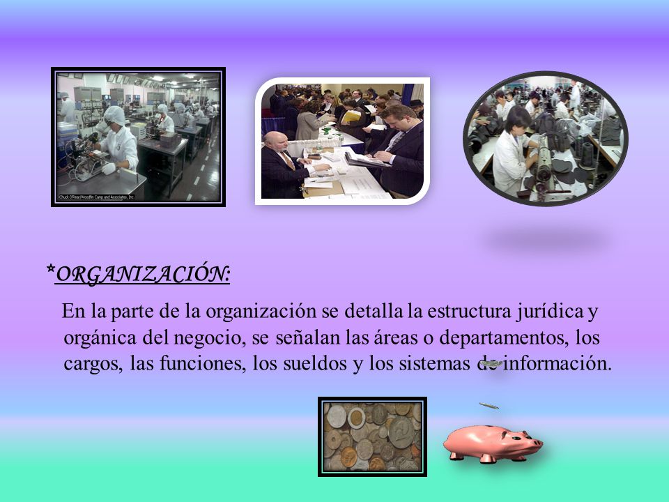 *ORGANIZACIÓN: En la parte de la organización se detalla la estructura jurídica y orgánica del negocio, se señalan las áreas o departamentos, los cargos, las funciones, los sueldos y los sistemas de información.