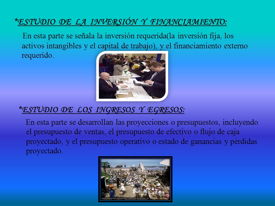 *ESTUDIO DE LA INVERSIÓN Y FINANCIAMIENTO: En esta parte se señala la inversión requerida(la inversión fija, los activos intangibles y el capital de trabajo), y el financiamiento externo requerido.