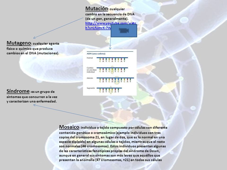 Mutación: cualquier cambio en la secuencia de DNA (de un gen, generalmente).   v=LfUmrX-7WDo
