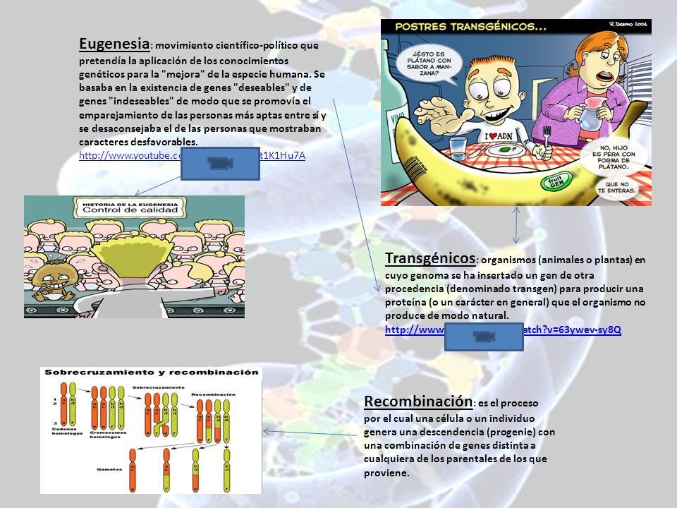 Eugenesia: movimiento científico-político que pretendía la aplicación de los conocimientos genéticos para la mejora de la especie humana. Se basaba en la existencia de genes deseables y de genes indeseables de modo que se promovía el emparejamiento de las personas más aptas entre sí y se desaconsejaba el de las personas que mostraban caracteres desfavorables.   v=SnUt1K1Hu7A